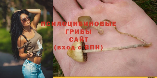 ПСИЛОЦИБИНОВЫЕ ГРИБЫ Бронницы