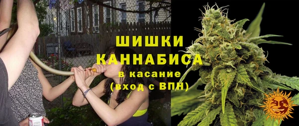 ПСИЛОЦИБИНОВЫЕ ГРИБЫ Бронницы