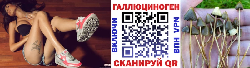 как найти   Топки  Галлюциногенные грибы прущие грибы 